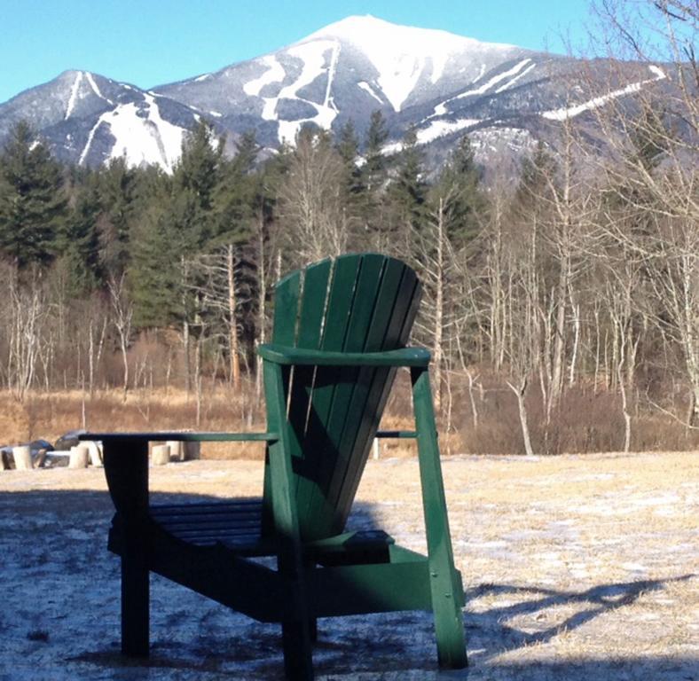 ウィルミントン Esther Mountain Chaletヴィラ エクステリア 写真